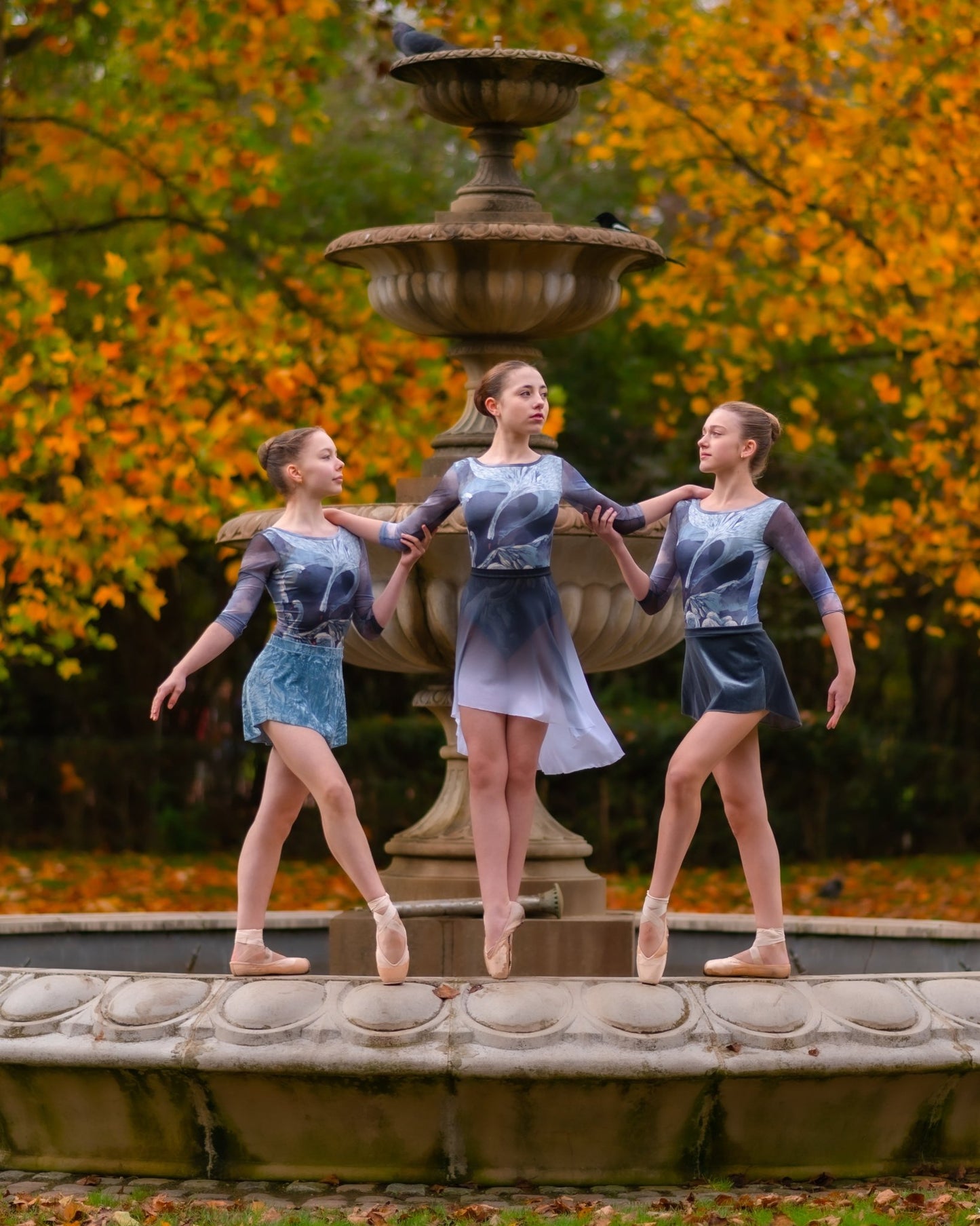 The Swan Long Sleeve Leotard - THE COLLECTIVE DANCEWEARThe Swan Long Sleeve LeotardmLeotardTHE COLLECTIVE DANCEWEAR